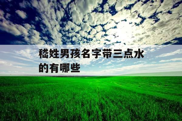 嵇姓男孩名字带三点水的有哪些