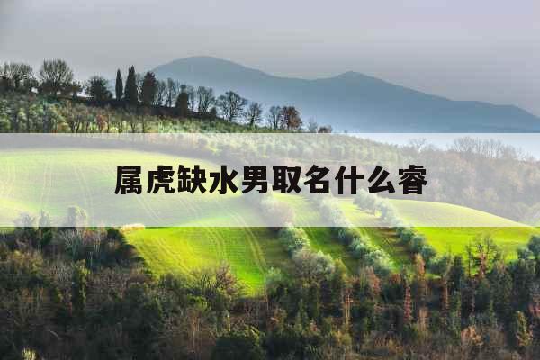 属虎缺水男取名什么睿 属虎缺水男取名什么睿