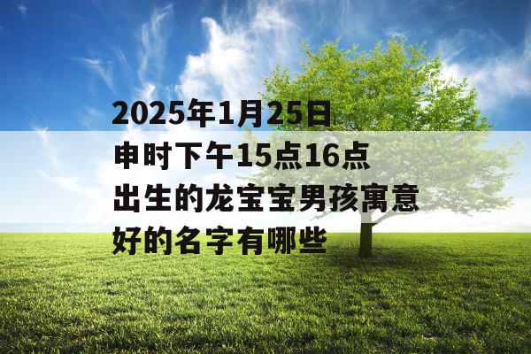 2025年1月25日申时下午15点16点出生的龙宝宝男孩寓意好的名字有哪些 2025年1月25日申时下午15点16点出生的龙宝宝男孩寓意好的名字有哪些