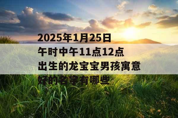 2025年1月25日午时中午11点12点出生的龙宝宝男孩寓意好的名字有哪些 2025年1月25日午时中午11点12点出生的龙宝宝男孩寓意好的名字有哪些