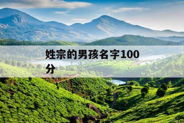 姓宗的男孩名字100分