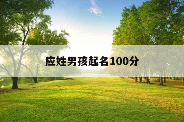 应姓男孩起名100分