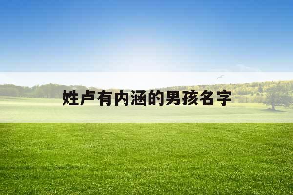 姓卢有内涵的男孩名字