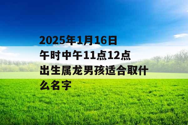 2025年1月16日午时中午11点12点出生属龙男孩适合取什么名字 2025年1月16日午时中午11点12点出生属龙男孩适合取什么名字