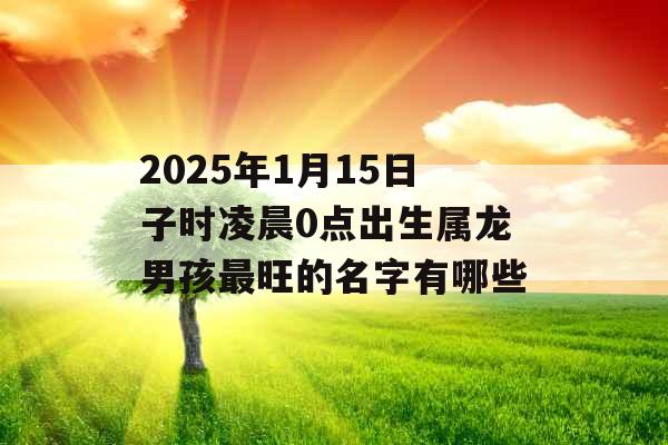 2025年1月15日子时凌晨0点出生属龙男孩最旺的名字有哪些 2025年1月15日子时凌晨0点出生属龙男孩最旺的名字有哪些