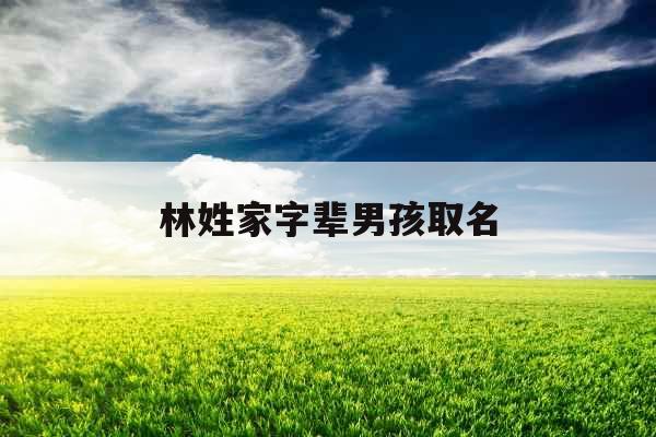 林姓家字辈男孩取名