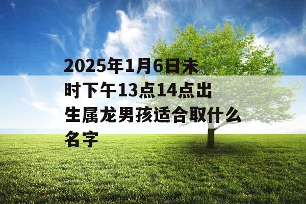 2025年1月6日未时下午13点14点出生属龙男孩适合取什么名字 2025年1月6日未时下午13点14点出生属龙男孩适合取什么名字