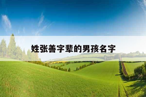 姓张善字辈的男孩名字 姓张善字辈的男孩名字