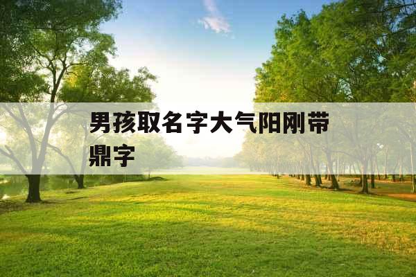男孩取名字大气阳刚带鼎字 男孩取名字大气阳刚带鼎字