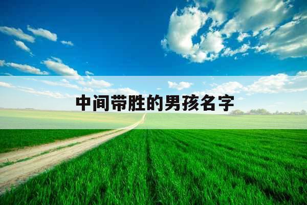 中间带胜的男孩名字