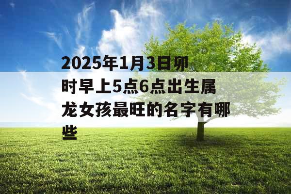 2025年1月3日卯时早上5点6点出生属龙女孩最旺的名字有哪些 2025年1月3日卯时早上5点6点出生属龙女孩最旺的名字有哪些