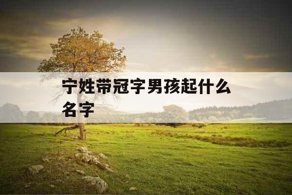 宁姓带冠字男孩起什么名字
