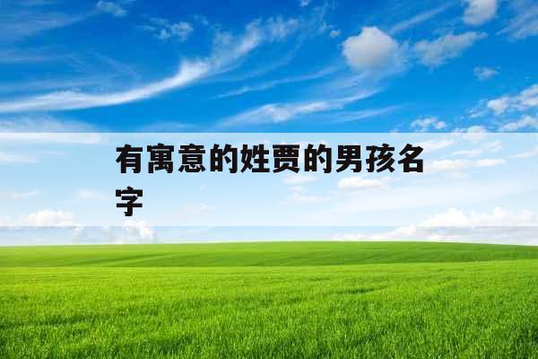 有寓意的姓贾的男孩名字 有寓意的姓贾的男孩名字