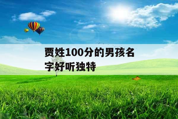 贾姓100分的男孩名字好听独特 贾姓100分的男孩名字好听独特
