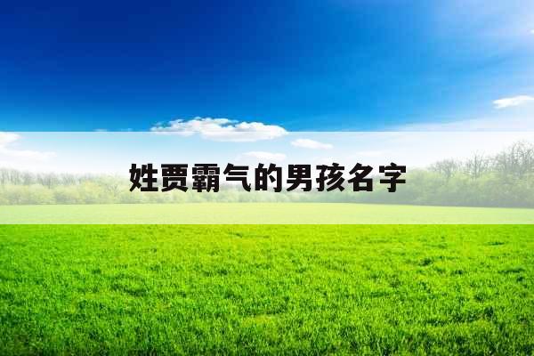 姓贾霸气的男孩名字 姓贾霸气的男孩名字