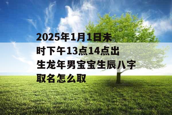 2025年1月1日未时下午13点14点出生龙年男宝宝生辰八字取名怎么取