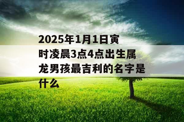2025年1月1日寅时凌晨3点4点出生属龙男孩最吉利的名字是什么