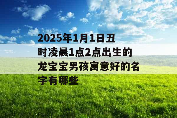 2025年1月1日丑时凌晨1点2点出生的龙宝宝男孩寓意好的名字有哪些