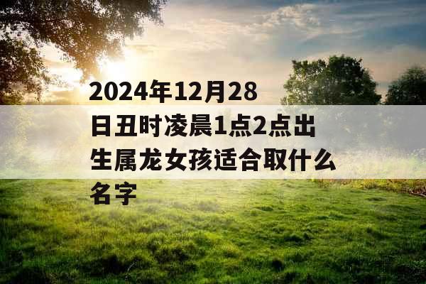 2024年12月28日丑时凌晨1点2点出生属龙女孩适合取什么名字