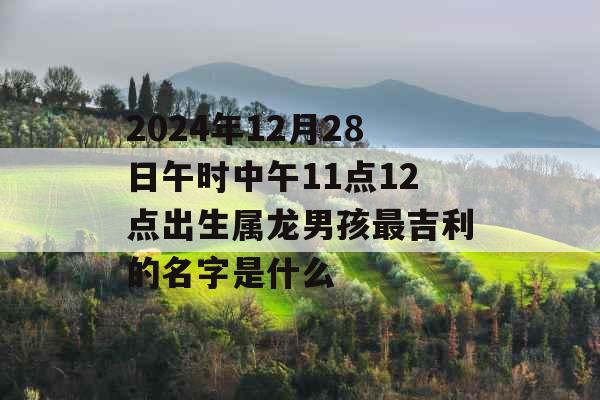 2024年12月28日午时中午11点12点出生属龙男孩最吉利的名字是什么 2024年12月28日午时中午11点12点出生属龙男孩最吉利的名字是什么