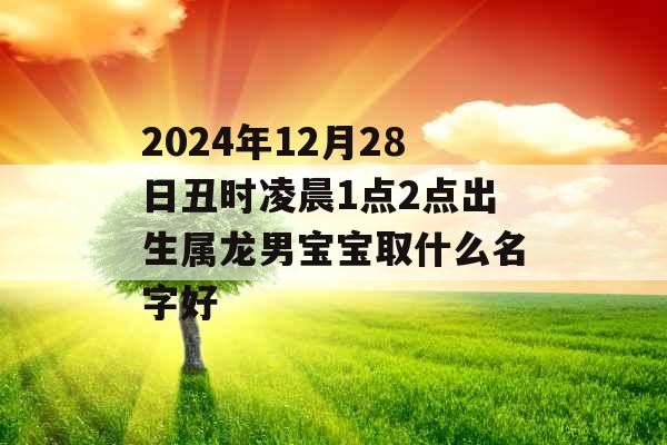 2024年12月28日丑时凌晨1点2点出生属龙男宝宝取什么名字好 2024年12月28日丑时凌晨1点2点出生属龙男宝宝取什么名字好