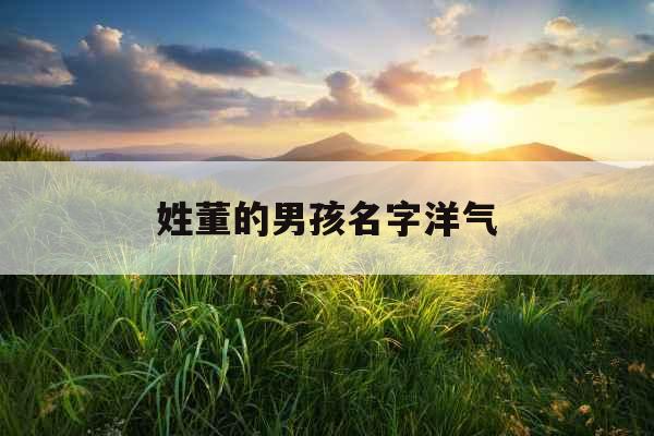 姓董的男孩名字洋气