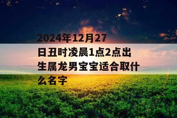 2024年12月27日丑时凌晨1点2点出生属龙男宝宝适合取什么名字
