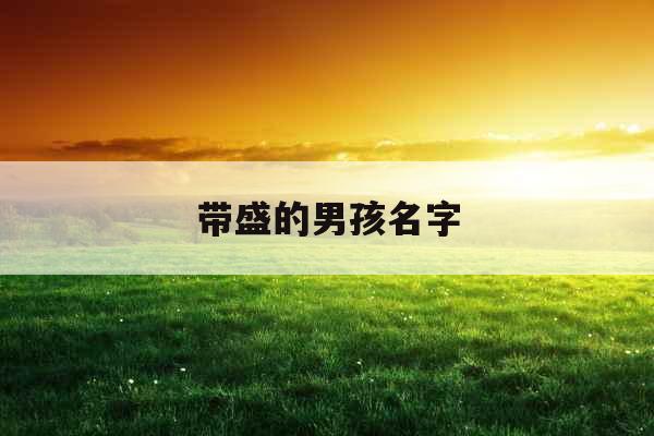 带盛的男孩名字