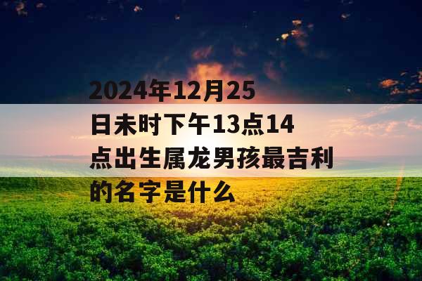 2024年12月25日未时下午13点14点出生属龙男孩最吉利的名字是什么 2024年12月25日未时下午13点14点出生属龙男孩最吉利的名字是什么