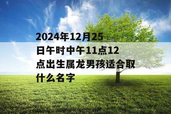 2024年12月25日午时中午11点12点出生属龙男孩适合取什么名字 2024年12月25日午时中午11点12点出生属龙男孩适合取什么名字