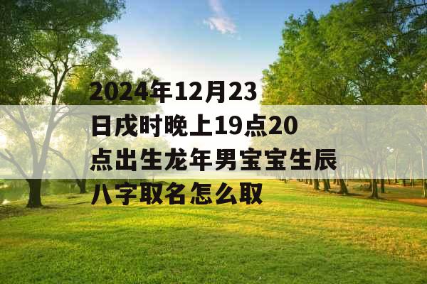 2024年12月23日戌时晚上19点20点出生龙年男宝宝生辰八字取名怎么取 2024年12月23日戌时晚上19点20点出生龙年男宝宝生辰八字取名怎么取