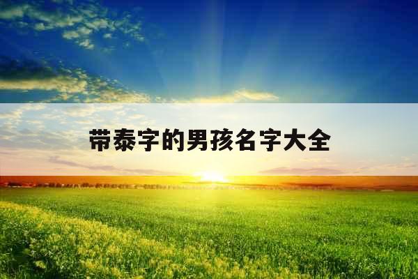 带泰字的男孩名字大全