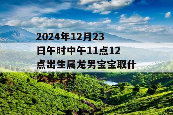 2024年12月23日午时中午11点12点出生属龙男宝宝取什么名字好