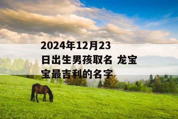 2024年12月23日出生男孩取名 龙宝宝最吉利的名字 2024年12月23日出生男孩取名 龙宝宝最吉利的名字