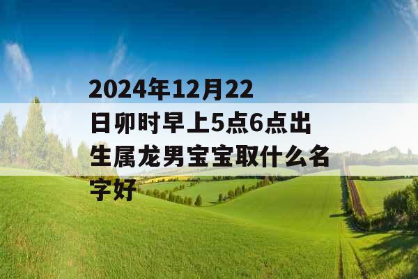 2024年12月22日卯时早上5点6点出生属龙男宝宝取什么名字好 2024年12月22日卯时早上5点6点出生属龙男宝宝取什么名字好
