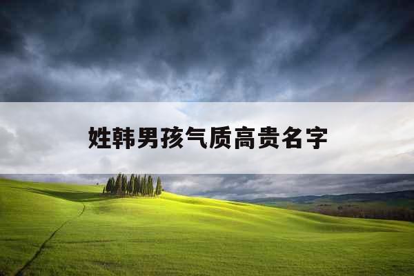 姓韩男孩气质高贵名字