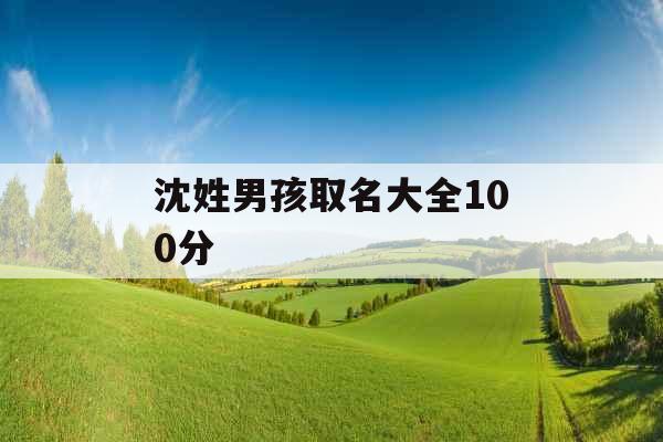 沈姓男孩取名大全100分