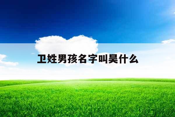 卫姓男孩名字叫昊什么 卫姓男孩名字叫昊什么