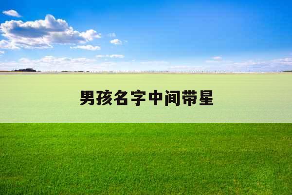 男孩名字中间带星