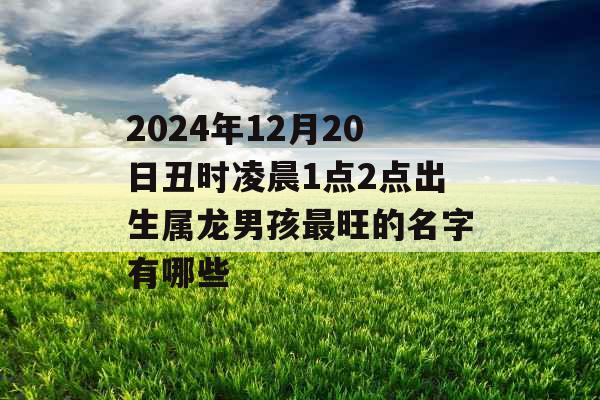 2024年12月20日丑时凌晨1点2点出生属龙男孩最旺的名字有哪些 2024年12月20日丑时凌晨1点2点出生属龙男孩最旺的名字有哪些