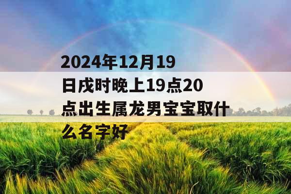 2024年12月19日戌时晚上19点20点出生属龙男宝宝取什么名字好 2024年12月19日戌时晚上19点20点出生属龙男宝宝取什么名字好