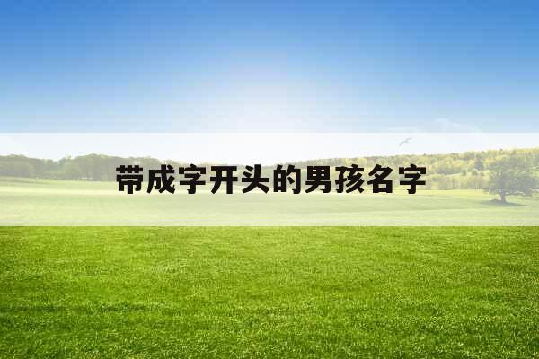 带成字开头的男孩名字 带成字开头的男孩名字
