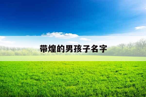 带煌的男孩子名字