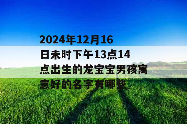 2024年12月16日未时下午13点14点出生的龙宝宝男孩寓意好的名字有哪些 2024年12月16日未时下午13点14点出生的龙宝宝男孩寓意好的名字有哪些