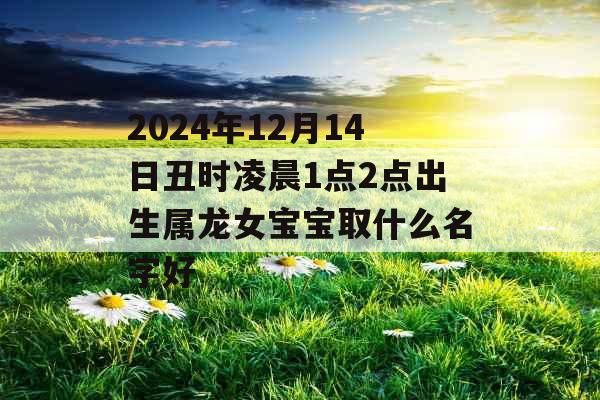 2024年12月14日丑时凌晨1点2点出生属龙女宝宝取什么名字好 2024年12月14日丑时凌晨1点2点出生属龙女宝宝取什么名字好