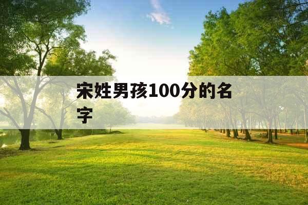 宋姓男孩100分的名字