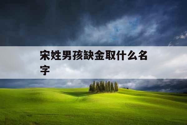 宋姓男孩缺金取什么名字