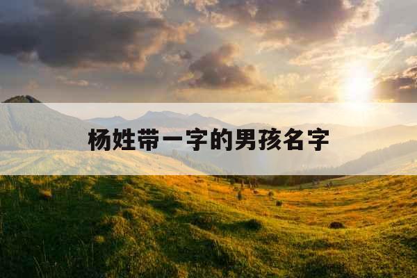 杨姓带一字的男孩名字