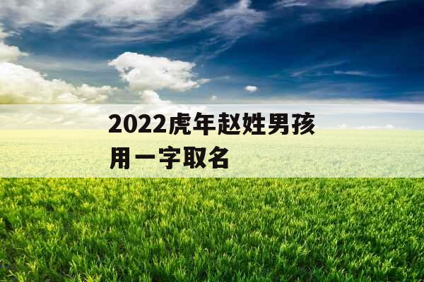2022虎年赵姓男孩用一字取名