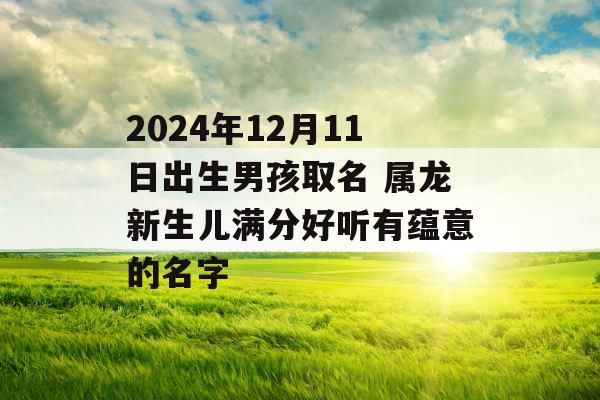 2024年12月11日出生男孩取名 属龙新生儿满分好听有蕴意的名字 2024年12月11日出生男孩取名 属龙新生儿满分好听有蕴意的名字
